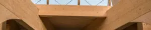 Mass Timber Structure